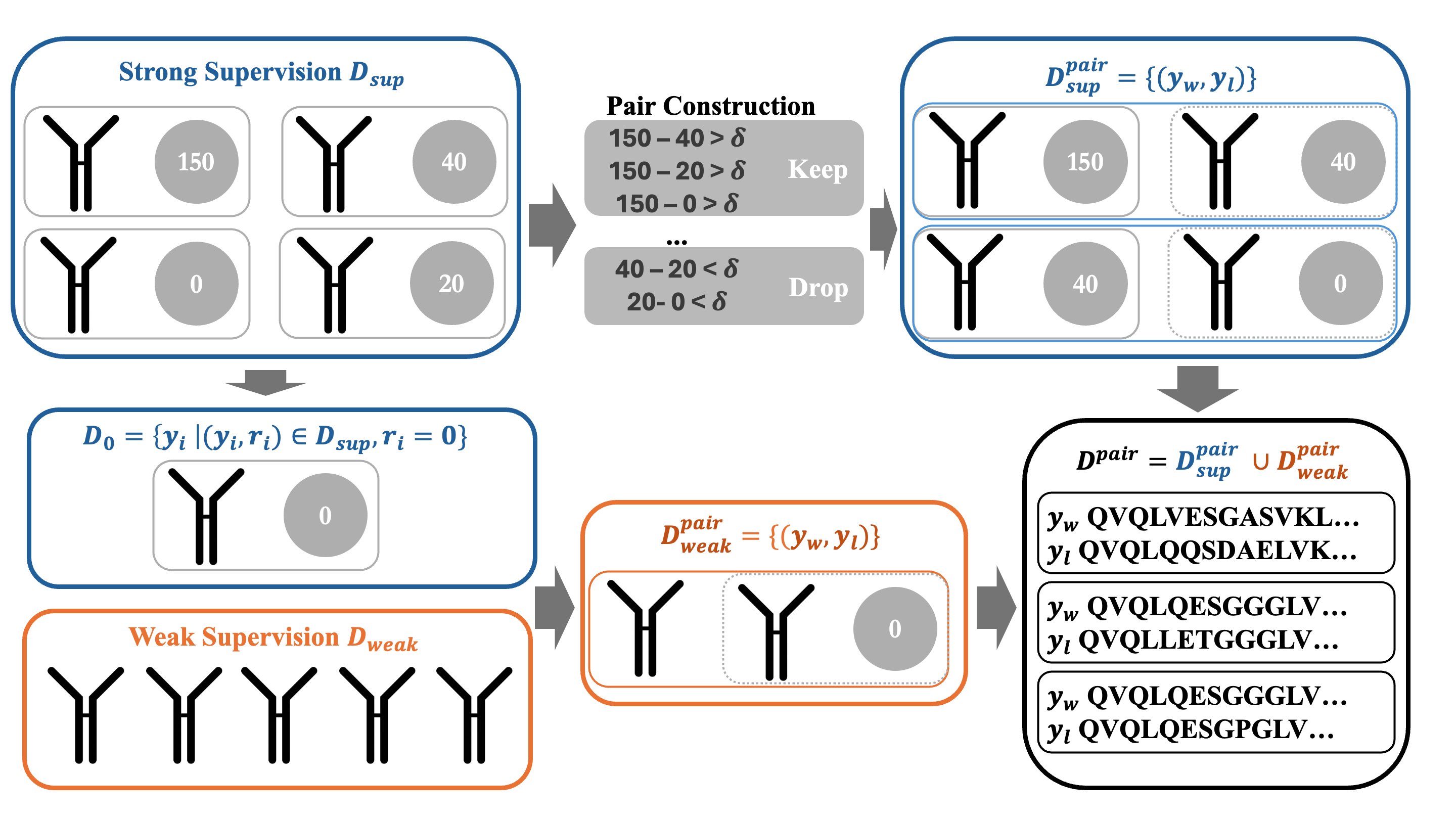 Figure 1: Construction of preference pairs. Strong supervision (top) uses yield differences with margin \delta; weak supervision (bottom) pairs immunization-derived sequences with zero-yield antibodies. Both contribute to the unified preference dataset \mathcal{D}_{\text{pair}}.
