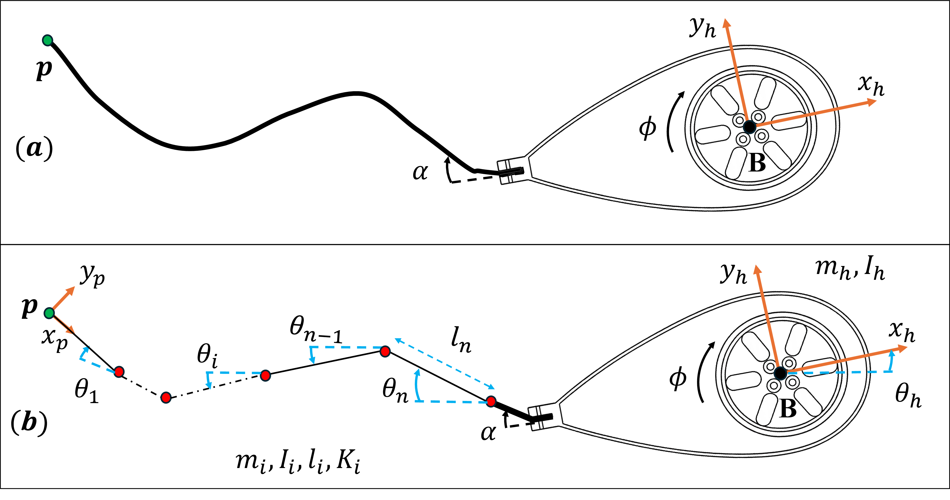 Figure 2: (a) A Chaplygin sleigh with a heavy head at point B (center of mass) and a flexible tail link with a non-holonomic constraint at point C. (b) The flexible tail link is approximated as ‘n’ multiple inextensible rods attached using torsional springs at the red points.
