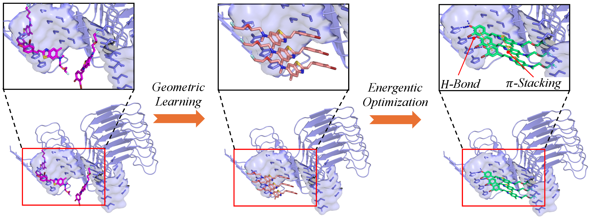 Figure 1: Overview of CORAL. A two-stage training recipe progressively shapes the model’s ligand-pose distribution on amyloid fibrils. The geometric learning stage (left to middle) supervises the model on curated stacking poses, teaching it to align ligands along the cross-\beta groove into periodic stacking arrangements. The energetic optimisation stage (middle to right) further refines the pose distribution via online reinforcement learning under a composite reward that combines protein–ligand binding affinity with cooperative inter-ligand stacking energy, leading to tighter contacts such as the H-bond and \pi–\pi stacking interactions highlighted in the right inset.