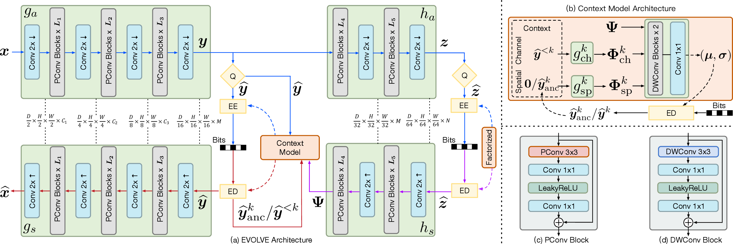 Figure 3: (a) EVOLVE architecture. Q, EE, and ED denote quantization, entropy encoding, and entropy decoding. Blue and red lines indicate the encoding and decoding data paths, while the purple ones are shared by both paths. Dashed arrows denote probability estimation. (b) Context model fuses hyperprior \boldsymbol{\Psi}, channel-wise context from previously decoded slices \hat{\mathbf{y}}^{<k}, and spatial context from decoded anchor positions \hat{\mathbf{y}}_\mathrm{anc}^k through an aggregation network to predict distribution parameters (\boldsymbol{\mu}, \boldsymbol{\sigma}) for probability modeling. (c) and (d) Detailed structures of PConv and DWConv blocks.