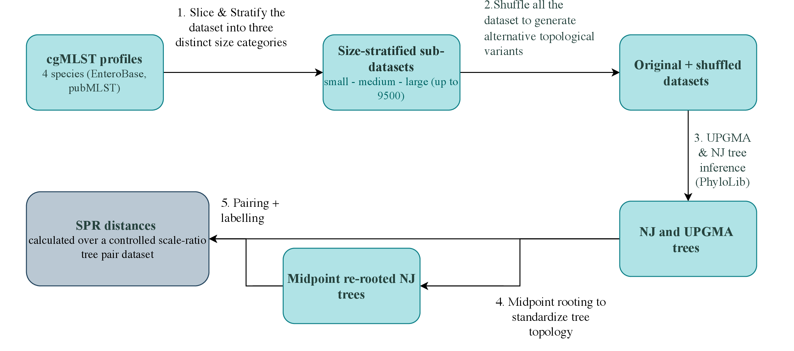 Figure 1: Pre-processing pipeline: dataset slicing, controlled shuffling, UPGMA/NJ inference, midpoint re-rooting, and SPR labelling.