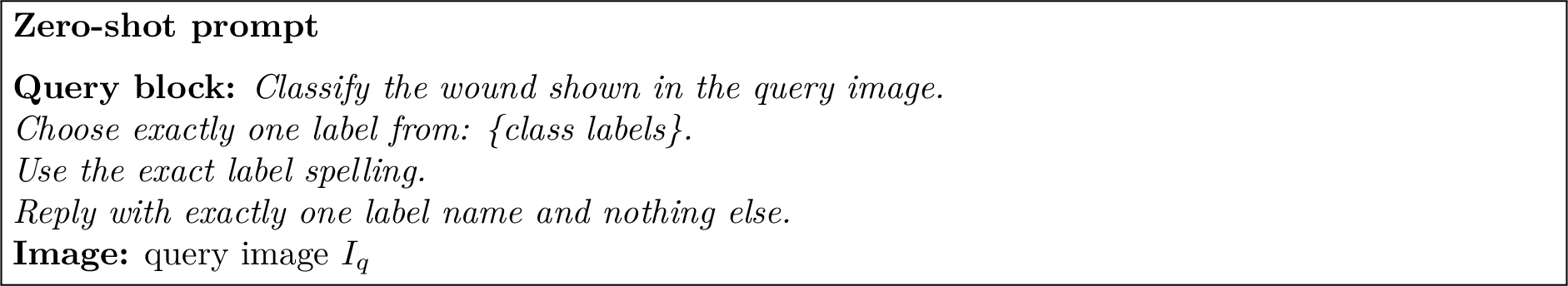 Figure 3: Zero-shot prompt structure.